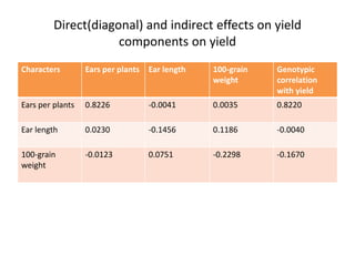 Direct(diagonal) and indirect effects on yield
components on yield
Characters Ears per plants Ear length 100-grain
weight
Genotypic
correlation
with yield
Ears per plants 0.8226 -0.0041 0.0035 0.8220
Ear length 0.0230 -0.1456 0.1186 -0.0040
100-grain
weight
-0.0123 0.0751 -0.2298 -0.1670
 