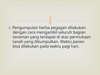 
1. Pengumpulan herba pegagan dilakukan
dengan cara mengambil seluruh bagian
tanaman yang terdapat di atas permukaan
tanah yang dikumpulkan. Waktu panen
bisa dilakukan pada waktu pagi hari.
 