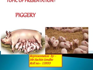  PIGGERY:- The indoor rearing and monitoring
With minimum facilities and increase
productivity.
 The pig is one of the o...