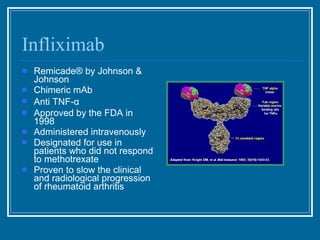 Infliximab Remicade ®  by Johnson & Johnson Chimeric mAb Anti TNF- α Approved by the FDA in 1998 Administered intravenously Designated for use in patients who did not respond to methotrexate Proven to slow the clinical and radiological progression of rheumatoid arthritis 