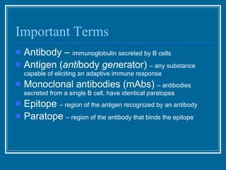 Important Terms Antibody –  immunoglobulin secreted by B cells Antigen ( anti body  gen erator)  – any substance capable of eliciting an adaptive immune response Monoclonal antibodies (mAbs)  – antibodies secreted from a single B cell, have identical paratopes Epitope  – region of the antigen recognized by an antibody Paratope  – region of the antibody that binds the epitope 