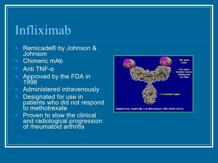 Antibodies as Drugs