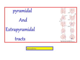 pyramidal
And
Extrapyramidal
tracts
Med_students0
 