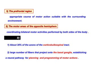 5) The prefrontal region
appropriate course of motor action suitable with the surrounding
environment.
6) The motor areas of the opposite hemisphere
coordinating bilateral motor activities performed by both sides of the body .
B)
Efferents
1) About 30% of the axons of the corticobulbospinal tract.
2) large number of fibers that project onto the basal ganglia, establishing
a neural pathway for planning and programming of motor actions .
 