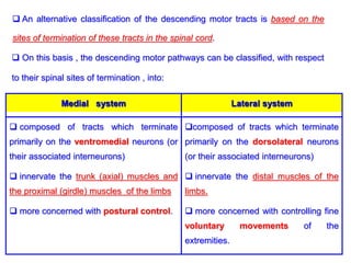  An alternative classification of the descending motor tracts is based on the
sites of termination of these tracts in the spinal cord.
 On this basis , the descending motor pathways can be classified, with respect
to their spinal sites of termination , into:
composed of tracts which terminate
primarily on the dorsolateral neurons
(or their associated interneurons)
 innervate the distal muscles of the
limbs.
 more concerned with controlling fine
voluntary movements of the
extremities.
 composed of tracts which terminate
primarily on the ventromedial neurons (or
their associated interneurons)
 innervate the trunk (axial) muscles and
the proximal (girdle) muscles of the limbs
 more concerned with postural control.
Lateral systemMedial system
 