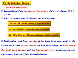The Corticobulbar Division
Course and Termination
 Axons originate from the head and face regions of the cortical areas (4, 6, 3,
2, 1, 5, 7).
 The corticobulbar tract Terminate in the motor nuclei of :
3rd and 4th cranial nerves in the midbrain
5th, 6th, and 7th cranial nerves in the pons
9th, 10th, 11th, and 12th cranial nerves in the medulla
 Corticobulbar tract from one side of the brain terminates mostly in the
cranial motor nuclei of both sides of the brain stem. Except, the lower part of
the facial nerve nucleus, and the hypoglossal nerve nucleus receive only
contralateral innervation from the cerebral cortex.
 