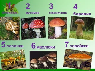 1
опеньки
2
мухомор
3
підосичник
4
боровик
5лисички 6маслюки 7сироїжки
 