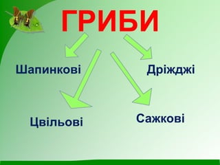 ГРИБИ
Шапинкові Дріжджі
Цвільові Сажкові
 