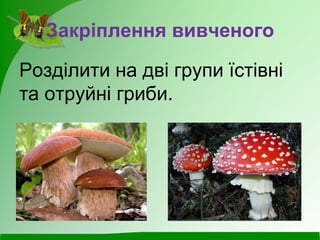 Закріплення вивченого
Розділити на дві групи їстівні
та отруйні гриби.
 