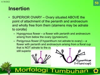 11/30/2022
50
Insertion
• SUPERIOR OVARY – Ovary situated ABOVE the
point of attachment of the perianth and androecium
and...