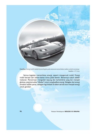 96 Panduan Pembelajaran BIOLOGI XI SMA/MA
Semua kegiatan memerlukan energi, seperti mengemudi mobil. Energi
mobil berasal dari bahan-bahan kimia pada bensin. Bensinnya tubuh adalah
makanan. Pencernaan mengubah tepung dan karbohidrat yang lain menjadi
glukosa, yang kemudian "dibakar" untuk menghasilkan energi. Sebagian dari energi
tersebut adalah panas, sebagian lagi diubah di dalam sel-sel otot menjadi energi
untuk gerakan.
Gambar Energi mobil adalah bensin begitu pula manusia memerlukan makan untuk energinya
Sumber: CD Image
96 Panduan Pembelajaran BIOLOGI XI SMA/MA
 