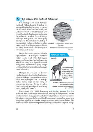 Sel 3
A. Sel sebagai Unit Terkecil Kehidupan
Sel merupakan unit terkecil
makhluk hidup, berarti di dalam sel
terdapat bagian-bagian yang berperan
dalam melakukan aktivitas hidup sel.
Coba pahamilah kalimat tersebut! Unit
berarti bagian terkecil dari sesuatu yang
dapat berdiri sendiri. Seperti halnya
keluarga merupakan unit sosial yang
paling kecil dalam kelompok hidup di
masyarakat. Keluarga-keluarga akan
membentukdesa.Begitupulasel.Jutaan
sel yang berukuran kecil menyusun
tubuh makhluk hidup.
Pengetahuantentangseltelahdimulai
sejakabadke-17dimanapadawaktuitu
Robert Hooke (1635-1703) dari Inggris
seorangpedagangkacaberhasilmembuat
sebuahalatyangdapatdigunakanuntuk
mengamati benda-benda yang sangat
kecil.Alat itu kemudian dikenal dengan
namamikroskop.
Dengan mikroskop itu Robert
Hookedapatmelihatbagian-bagiandari
irisan kulit kayu yang mati dan sangat
kecil. Hasil pengamatan itu berupa
petak-petak segi empat yang di
tengahnya kosong. Benda tersebut
disebutselyangberartipetakatauruang
kecil (Harliyono, 1999 : 21).
Pada tahun 1838 - 1939, dua orang ahli fisiologi Jerman, Theodor
Schwann dan Matthias Jakob Schleiden, masing-masing bekerja secara
sendiri-sendiri, mengajukan suatu teori sel yang baru dan revolusioner.
Mereka menganggap bahwa makhluk hidup, dari yang paling sederhana
sampai yang paling kompleks, hampir sepenuhnya tersusun dari sel dan
bahwasel-selinimemainkanperananpentingdalamsemuakegiatanhidup.
Gambar 1.2 Sel-sel kulit bawang yang
diperbesar
Sumber: Ilmu Pengetahuan Populer Jilid 5,
2000 : 89
Tahukah kamu?
Ukuranselsangat
bervariasi, sel
terbesar adalah sel
saraf pada leher
jerapah yang pan-
jangnya mencapai
3 meter.
Jerapah
Gambar 1.3 Sel terbesar adalah sel
saraf pada leher Jerapah
Sumber: Ensiklopedi Umum untuk Pelajar
Jilid 5, 2005:42
 
