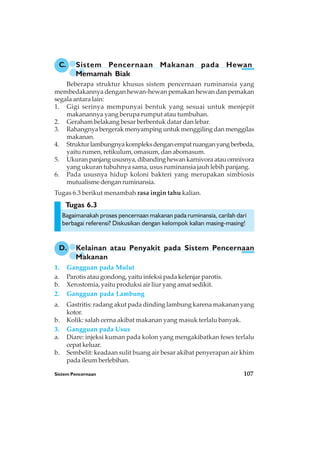 Sistem Pencernaan 107
Tugas 6.3
Beberapa struktur khusus sistem pencernaan ruminansia yang
membedakannya dengan hewan-hewan pemakan hewan dan pemakan
segala antara lain:
1. Gigi serinya mempunyai bentuk yang sesuai untuk menjepit
makanannya yang berupa rumput atau tumbuhan.
2. Geraham belakang besar berbentuk datar dan lebar.
3. Rahangnya bergerak menyamping untuk menggiling dan menggilas
makanan.
4. Strukturlambungnyakompleksdenganempatruanganyangberbeda,
yaitu rumen, retikulum, omasum, dan abomasum.
5. Ukuranpanjangususnya,dibandinghewankarnivoraatauomnivora
yang ukuran tubuhnya sama, usus ruminansia jauh lebih panjang.
6. Pada ususnya hidup koloni bakteri yang merupakan simbiosis
mutualismedenganruminansia.
Tugas 6.3 berikut menambah rasa ingin tahu kalian.
Bagaimanakah proses pencernaan makanan pada ruminansia, carilah dari
berbagai referensi? Diskusikan dengan kelompok kalian masing-masing!
1. Gangguan pada Mulut
a. Parotis atau gondong, yaitu infeksi pada kelenjar parotis.
b. Xerostomia, yaitu produksi air liur yang amat sedikit.
2. Gangguan pada Lambung
a. Gastritis: radang akut pada dinding lambung karena makanan yang
kotor.
b. Kolik: salah cerna akibat makanan yang masuk terlalu banyak.
3. Gangguan pada Usus
a. Diare: injeksi kuman pada kolon yang mengakibatkan feses terlalu
cepat keluar.
b. Sembelit: keadaan sulit buang air besar akibat penyerapan air khim
pada ileum berlebihan.
C. Sistem Pencernaan Makanan pada Hewan
Memamah Biak
D. Kelainan atau Penyakit pada Sistem Pencernaan
Makanan
 