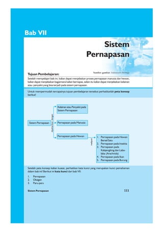 Sistem Pernapasan 111
1. Pernapasan
2. Oksigen
3. Paru-paru
Bab VII
Sistem Pernapasan
KelainanatauPenyakitpada
Sistem Pernapasan
dipahamkandengan
Pernapasan pada Manusia
Pernapasan pada Hewan 1. Pernapasan pada Hewan
Bersel Satu
2. Pernapasan pada Insekta
3. Pernapasan pada
Kalajengking dan Laba-
laba (Arachnida)
4. Pernapasan pada Ikan
5. Pernapasan pada Burung
meliputi
Tujuan Pembelajaran:
Setelah mempelajari bab ini, kalian dapat menjelaskan proses pernapasan manusia dan hewan,
kalian dapat menjelaskan bagaimana kalian bernapas, selain itu kalian dapat menjelaskan kelainan
atau penyakit yang bisa terjadi pada sistem pernapasan.
Sistem
Pernapasan
Untuk mempermudah tercapainya tujuan pembelajaran tersebut perhatikanlah peta konsep
berikut!
Setelah peta konsep kalian kuasai, perhatikan kata kunci yang merupakan kunci pemahaman
dalam bab ini! Berikut ini kata kunci dari bab VII:
Sistem Pernapasan 111
Sumber gambar: Indonesian Heritage
 