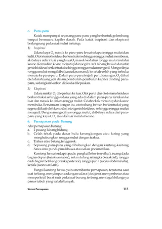 Sistem Pernapasan 115
c. Paru-paru
Katak mempunyai sepasang paru-paru yang berbentuk gelembung
tempat bermuara kapiler darah. Pada katak inspirasi dan ekspirasi
berlangsung pada saat mulut tertutup.
1) Inspirasi
Udara kaya O2
masuk ke paru-paru lewat selaput rongga mulut dan
kulit.Ototsternohioideusberkontraksisehinggaronggamulutmembesar,
akibatnya udara luar yang kaya O2
masuk ke dalam rongga mulut melalui
koane. Kemudian koane menutup dan segera otot rahang bawah dan otot
geniohioideusberkontraksisehinggaronggamulutmengecil.Mengecilnya
rongga mulut mengakibatkan udara masuk ke celah-celah yang terbuka
menuju ke paru-paru. Dalam paru-paru terjadi pertukaran gas, O2
diikat
oleh darah yang ada dalam pembuluh-pembuluh kapiler dinding paru-
paru, sedangkan karbon dioksida dilepaskan.
2) Ekspirasi
UdaramiskinO2
dilepaskankeluar.Ototperutdanototsternohioideus
berkontraksi sehingga udara yang ada di dalam paru-paru tertekan ke
luar dan masuk ke dalam rongga mulut. Celah tekak menutup dan koane
membuka. Bersamaan dengan itu, otot rahang bawah berkontraksi yang
segera diikuti oleh kontraksi otot geniohioideus, sehingga rongga mulut
mengecil. Dengan mengecilnya rongga mulut, akibatnya udara dari paru-
paru yang kaya CO2
akan keluar melalui koane.
6. Pernapasan pada Burung
Alat pernapasan burung:
a. 2 pasang lubang hidung.
b. Celah tekak pada dasar hulu kerongkongan atau faring yang
menghubungkan rongga mulut dengan trakea.
c. Trakea atau batang tenggorok.
d. Sepasang paru-paru yang dihubungkan dengan kantong-kantong
hawa atau pundi-pundi hawa atau sakus pneumatikus.
Kantong hawa terdapat pada: pangkal leher (servikal), ruang dada
bagian depan (toraks anterior), antara tulang selangka (korakoid), rongga
dadabagianbelakang(toraksposterior),ronggaperut(saccusabdominalis),
ketiak (saccus axilaris).
Fungsi kantong hawa, yaitu membantu pernapasan, terutama saat
saat terbang, menyimpan cadangan udara (oksigen), memperbesar atau
memperkecil berat jenis pada saat burung terbang, mencegah hilangnya
panas tubuh yang terlalu banyak.
 