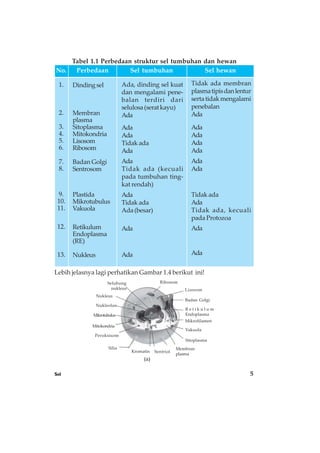 Sel 5
Tabel 1.1 Perbedaan struktur sel tumbuhan dan hewan
(a)
Ribosom
Lisosom
Badan Golgi
R e t i k u l u m
Endoplasma
Mikrofilamen
Vakuola
Sitoplasma
Membran
plasma
SentriolKromatin
Silia
Mitokondria
Mikrotubulus
Nukleolus
Nukleus
Selubung
nukleus
Peroksisom
1.
2.
3.
4.
5.
6.
7.
8.
9.
10.
11.
12.
13.
Dindingsel
Membran
plasma
Sitoplasma
Mitokondria
Lisosom
Ribosom
Badan Golgi
Sentrosom
Plastida
Mikrotubulus
Vakuola
Retikulum
Endoplasma
(RE)
Nukleus
Ada, dinding sel kuat
dan mengalami pene-
balan terdiri dari
selulosa(seratkayu)
Ada
Ada
Ada
Tidak ada
Ada
Ada
Tidak ada (kecuali
pada tumbuhan ting-
kat rendah)
Ada
Tidak ada
Ada(besar)
Ada
Ada
Tidak ada membran
plasmatipisdanlentur
sertatidakmengalami
penebalan
Ada
Ada
Ada
Ada
Ada
Ada
Ada
Tidak ada
Ada
Tidak ada, kecuali
pada Protozoa
Ada
Ada
No. Perbedaan Sel tumbuhan Sel hewan
Lebih jelasnya lagi perhatikan Gambar 1.4 berikut ini!
 