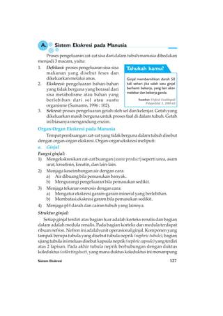 Sistem Ekskresi 127
Prosespengeluaranzat-zatsisadaridalamtubuhmanusiadibedakan
menjadi 3 macam, yaitu:
1. Defekasi: prosespengeluaransisa-sisa
makanan yang disebut feses dan
dikeluarkan melalui anus.
2. Ekskresi: pengeluaran bahan-bahan
yang tidak berguna yang berasal dari
sisa metabolisme atau bahan yang
berlebihan dari sel atau suatu
organisme (Sumanto, 1996 : 102).
3. Sekresi: proses pengeluaran getah oleh sel dan kelenjar. Getah yang
dikeluarkan masih berguna untuk proses faal di dalam tubuh. Getah
ini biasanya mengandung enzim.
A. Sistem Ekskresi pada Manusia
Organ-Organ Ekskresi pada Manusia
Tempatpembuanganzat-zatyangtidakbergunadalamtubuhdisebut
dengan organ-organ ekskresi. Organ-organ ekskresi meliputi:
a. Ginjal
Fungsi ginjal:
1) Mengekskresikan zat-zat buangan (waste product) seperti urea, asam
urat, kreatinin, kreatin, dan lain-lain.
2) Menjaga keseimbangan air dengan cara:
a) Air dibuang bila pemasukan banyak.
b) Mengurangi pengeluaran bila pemasukan sedikit.
3) Menjaga tekanan osmosis dengan cara:
a) Mengatur ekskresi garam-garam mineral yang berlebihan.
b) Membatasi ekskresi garam bila pemasukan sedikit.
4) Menjaga pH darah dan cairan tubuh yang lainnya.
Struktur ginjal:
Setiap ginjal terdiri atas bagian luar adalah korteks renalis dan bagian
dalam adalah medula renalis. Pada bagian korteks dan medula terdapat
ribuan nefron. Nefron ini adalah unit operasional ginjal. Komponen yang
tampak berupa tubula yang disebut tubula neprik (nephric tubule), bagian
ujungtubulainimeluasdisebutkapsulaneprik(nephriccapsule)yangterdiri
atas 2 lapisan. Pada akhir tubula neprik berhubungan dengan duktus
koleduktus(collectingduct),yangmanaduktuskoleduktusinimenampung
Ginjal membersihkan darah 50
kali sehari jika salah satu ginjal
berhenti bekerja, yang lain akan
melebar dan bekerja ganda.
Tahukah kamu?
Sumber: Oxford Ensiklopedi
PelajarJilid 3, 2005:63
 