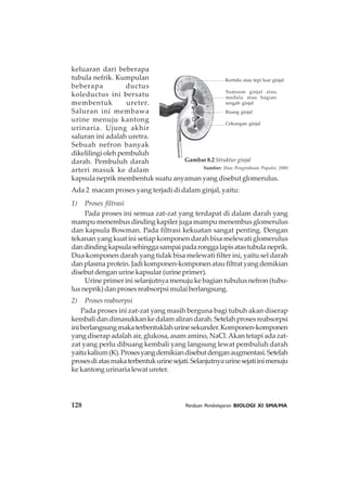 128 Panduan Pembelajaran BIOLOGI XI SMA/MA
keluaran dari beberapa
tubula nefrik. Kumpulan
beberapa ductus
koleductus ini bersatu
membentuk ureter.
Saluran ini membawa
urine menuju kantong
urinaria. Ujung akhir
saluran ini adalah uretra.
Sebuah nefron banyak
dikelilingi oleh pembuluh
darah. Pembuluh darah
arteri masuk ke dalam
kapsula neprik membentuk suatu anyaman yang disebut glomerulus.
Ada 2 macam proses yang terjadi di dalam ginjal, yaitu:
1) Proses filtrasi
Pada proses ini semua zat-zat yang terdapat di dalam darah yang
mampu menembus dinding kapiler juga mampu menembus glomerulus
dan kapsula Bowman. Pada filtrasi kekuatan sangat penting. Dengan
tekanan yang kuat ini setiap komponen darah bisa melewati glomerulus
dandindingkapsulasehinggasampaipadaronggalapisatastubulaneprik.
Dua komponen darah yang tidak bisa melewati filter ini, yaitu sel darah
danplasmaprotein.Jadikomponen-komponenataufiltratyangdemikian
disebut dengan urine kapsular (urine primer).
Urine primer ini selanjutnya menuju ke bagian tubulus nefron (tubu-
lus neprik) dan proses reabsorpsi mulai berlangsung.
2) Proses reabsorpsi
Pada proses ini zat-zat yang masih berguna bagi tubuh akan diserap
kembalidandimasukkankedalamalirandarah.Setelahprosesreabsorpsi
iniberlangsungmakaterbentuklahurinesekunder.Komponen-komponen
yang diserap adalah air, glukosa, asam amino, NaCl.Akan tetapi ada zat-
zat yang perlu dibuang kembali yang langsung lewat pembuluh darah
yaitukalium(K).Prosesyangdemikiandisebutdenganaugmentasi.Setelah
prosesdiatasmakaterbentukurinesejati.Selanjutnyaurinesejatiinimenuju
ke kantong urinaria lewat ureter.
Sumsum ginjal atau
medula atau bagian
tengah ginjal
Ruang ginjal
Korteks atau tepi luar ginjal
Cekungan ginjal
Gambar 8.2 Struktur ginjal
Sumber: Ilmu Pengetahuan Populer, 2000
 
