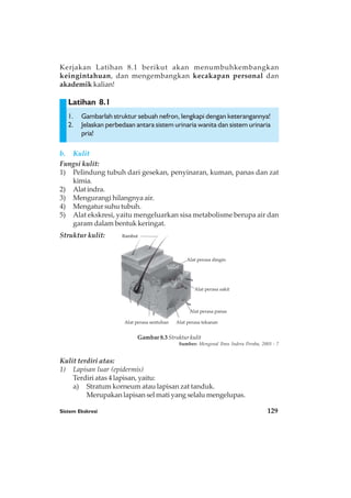 Sistem Ekskresi 129
Latihan 8.1
Kerjakan Latihan 8.1 berikut akan menumbuhkembangkan
keingintahuan, dan mengembangkan kecakapan personal dan
akademik kalian!
1. Gambarlah struktur sebuah nefron, lengkapi dengan keterangannya!
2. Jelaskan perbedaan antara sistem urinaria wanita dan sistem urinaria
pria!
b. Kulit
Fungsi kulit:
1) Pelindung tubuh dari gesekan, penyinaran, kuman, panas dan zat
kimia.
2) Alatindra.
3) Mengurangi hilangnya air.
4) Mengatur suhu tubuh.
5) Alat ekskresi, yaitu mengeluarkan sisa metabolisme berupa air dan
garam dalam bentuk keringat.
Struktur kulit:
Kulit terdiri atas:
1) Lapisan luar (epidermis)
Terdiri atas 4 lapisan, yaitu:
a) Stratum korneum atau lapisan zat tanduk.
Merupakan lapisan sel mati yang selalu mengelupas.
Rambut
Alat perasa sentuhan Alat perasa tekanan
Alat perasa panas
Alat perasa sakit
Alat perasa dingin
Gambar 8.3 Struktur kulit
Sumber: Mengenal Ilmu Indera Peraba, 2003 : 7
 