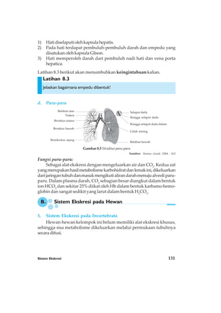 Sistem Ekskresi 131
Latihan 8.3
1) Hatidiselaputiolehkapsulahepatis.
2) Pada hati terdapat pembuluh-pembuluh darah dan empedu yang
disatukan oleh kapsula Glison.
3) Hati memperoleh darah dari pembuluh nadi hati dan vena porta
hepatica.
Latihan 8.3 berikut akan menumbuhkan keingintahuan kalian.
Jelaskan bagaimana empedu dibentuk!
d. Paru-paru
Fungsi paru-paru:
Sebagai alat ekskresi dengan mengeluarkan air dan CO2
. Kedua zat
yangmerupakanhasilmetabolismekarbohidratdanlemakini,dikeluarkan
darijaringantubuhdanmasukmengikutialirandarahmenujualveoliparu-
paru. Dalam plasma darah, CO2
sebagian besar diangkut dalam bentuk
ion HCO3
dan sekitar 25% diikat oleh Hb dalam bentuk karbamo hemo-
globin dan sangat sedikit yang larut dalam bentuk H2
CO3
.
1. Sistem Ekskresi pada Invertebrata
Hewan-hewan kelompok ini belum memiliki alat ekskresi khusus,
sehingga sisa metabolisme dikeluarkan melalui permukaan tubuhnya
secaradifusi.
Selaput dada
Rongga selaput dada
Rongga selaput dada dalam
Celah miring
Belahan bawah
Bronkiolus ujung
Bronkus bawah
Bronkus utama
Trakea
Belahan atas
Gambar 8.5 Struktur paru-paru
Sumber: Kamus visual, 2004 : 163
B. Sistem Ekskresi pada Hewan
 