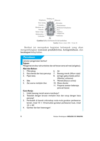 6 Panduan Pembelajaran BIOLOGI XI SMA/MA
Lakukan pengamatan berikut!
Tujuan:
Mengamati struktur sel tumbuhan dan sel hewan serta sel mati (sel gabus).
Alat dan Bahan:
1. Mikroskop 6. Air
2. Kaca benda dan kaca penutup 7. Bawang merah (Allium cepa)
3. Pipet tetes 8. Jaringan gabus ketela pohon
(Manihot utilissima)
4. Silet 9. Wortel (Daucus carota)
5. Zat warna methylen blue 10. Rhoeo discolor
11. Preparat awetan beberapa
jenis sel hewan
Cara Kerja:
1. Irislah bawang merah secara membujur!
2. Tetesilah dengan larutan methylen blue dan tutup dengan kaca
penutup!
3. Periksalah di bawah mikroskop mula-mula gunakan perbesaran
lemah, misal 10 × 10 kemudian gunakan perbesaran kuat, misal
10 × 40!
4. Gambar dan beri keterangan!
Percobaan
Berikut ini merupakan kegiatan kelompok yang akan
mengembangkan wawasan produktivitas, keingintahuan, dan
kecakapan hidup kalian.
Gambar 1.4 (a) Sel hewan (b) Sel tumbuhan
Sumber: Kamus visual, 2004 : 74 dan 94
(b)
Sitoplasma
Tetes lemak
Granula
Membran sel
Vakuola
Badan Golgi
Mitokondria
Leukoplas
Dinding sel
Ribosom
Kloroplas
Plasmodesma
Retikulum Endoplasma
Pori
Nukleus
Selaput inti
Nukleolus
 