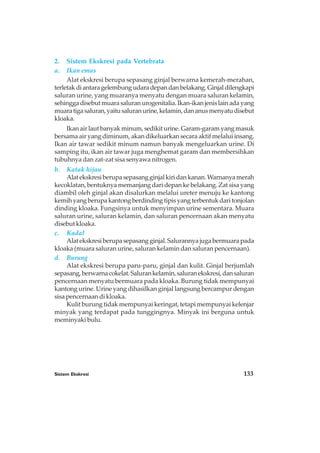 Sistem Ekskresi 133
2. Sistem Ekskresi pada Vertebrata
a. Ikan emas
Alat ekskresi berupa sepasang ginjal berwarna kemerah-merahan,
terletakdiantaragelembungudaradepandanbelakang.Ginjaldilengkapi
saluran urine, yang muaranya menyatu dengan muara saluran kelamin,
sehinggadisebutmuarasaluranurogenitalia.Ikan-ikanjenislainadayang
muaratigasaluran,yaitusaluranurine,kelamin,dananusmenyatudisebut
kloaka.
Ikan air laut banyak minum, sedikit urine. Garam-garam yang masuk
bersama air yang diminum, akan dikeluarkan secara aktif melalui insang.
Ikan air tawar sedikit minum namun banyak mengeluarkan urine. Di
samping itu, ikan air tawar juga menghemat garam dan membersihkan
tubuhnya dan zat-zat sisa senyawa nitrogen.
b. Katak hijau
Alatekskresiberupasepasangginjalkiridankanan.Warnanyamerah
kecoklatan, bentuknya memanjang dari depan ke belakang. Zat sisa yang
diambil oleh ginjal akan disalurkan melalui ureter menuju ke kantong
kemih yang berupa kantong berdinding tipis yang terbentuk dari tonjolan
dinding kloaka. Fungsinya untuk menyimpan urine sementara. Muara
saluran urine, saluran kelamin, dan saluran pencernaan akan menyatu
disebut kloaka.
c. Kadal
Alatekskresiberupasepasangginjal.Salurannyajugabermuarapada
kloaka (muara saluran urine, saluran kelamin dan saluran pencernaan).
d. Burung
Alat ekskresi berupa paru-paru, ginjal dan kulit. Ginjal berjumlah
sepasang,berwarnacokelat.Salurankelamin,saluranekskresi,dansaluran
pencernaan menyatu bermuara pada kloaka. Burung tidak mempunyai
kantong urine. Urine yang dihasilkan ginjal langsung bercampur dengan
sisa pencernaan di kloaka.
Kulit burung tidak mempunyai keringat, tetapi mempunyai kelenjar
minyak yang terdapat pada tunggingnya. Minyak ini berguna untuk
meminyaki bulu.
 