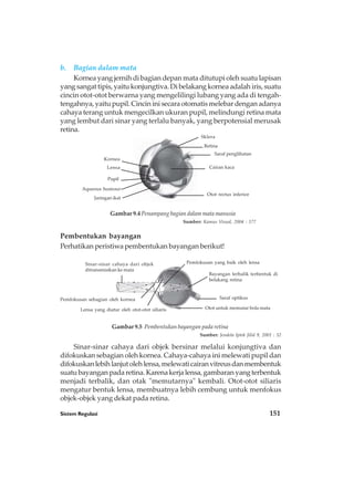 Sistem Regulasi 151
Pupil
Gambar 9.4 Penampang bagian dalam mata manusia
Sumber: Kamus Visual, 2004 : 177
Lensa
Kornea
Retina
Cairan kaca
Aqueous humour
Jaringan ikat
Otot rectus inferior
Saraf penglihatan
Sklera
Gambar 9.5 Pembentukan bayangan pada retina
Sumber: Jendela Iptek Jilid 9, 2001 : 52
Saraf optikus
Sinar-sinar cahaya dari objek
ditransmisikan ke mata
Otot untuk memutar bola mata
Bayangan terbalik terbentuk di
belakang retina
Pemfokusan yang baik oleh lensa
Lensa yang diatur oleh otot-otot siliaris
Pemfokusan sebagian oleh kornea
b. Bagian dalam mata
Kornea yang jernih di bagian depan mata ditutupi oleh suatu lapisan
yang sangat tipis, yaitu konjungtiva. Di belakang kornea adalah iris, suatu
cincin otot-otot berwarna yang mengelilingi lubang yang ada di tengah-
tengahnya,yaitupupil.Cincininisecaraotomatismelebardenganadanya
cahaya terang untuk mengecilkan ukuran pupil, melindungi retina mata
yang lembut dari sinar yang terlalu banyak, yang berpotensial merusak
retina.
Pembentukan bayangan
Perhatikan peristiwa pembentukan bayangan berikut!
Sinar-sinar cahaya dari objek bersinar melalui konjungtiva dan
difokuskan sebagian oleh kornea. Cahaya-cahaya ini melewati pupil dan
difokuskanlebihlanjutolehlensa,melewaticairanvitreusdanmembentuk
suatubayanganpadaretina.Karenakerjalensa,gambaranyangterbentuk
menjadi terbalik, dan otak "memutarnya" kembali. Otot-otot siliaris
mengatur bentuk lensa, membuatnya lebih cembung untuk menfokus
objek-objek yang dekat pada retina.
 