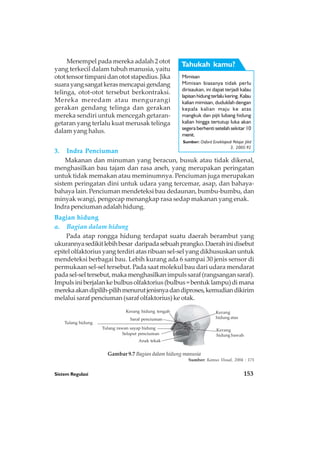 Sistem Regulasi 153
Menempel pada mereka adalah 2 otot
yang terkecil dalam tubuh manusia, yaitu
otot tensor timpani dan otot stapedius. Jika
suarayangsangatkerasmencapaigendang
telinga, otot-otot tersebut berkontraksi.
Mereka meredam atau mengurangi
gerakan gendang telinga dan gerakan
mereka sendiri untuk mencegah getaran-
getaran yang terlalu kuat merusak telinga
dalam yang halus.
3. Indra Penciuman
Makanan dan minuman yang beracun, busuk atau tidak dikenal,
menghasilkan bau tajam dan rasa aneh, yang merupakan peringatan
untuk tidak memakan atau meminumnya. Penciuman juga merupakan
sistem peringatan dini untuk udara yang tercemar, asap, dan bahaya-
bahaya lain. Penciuman mendeteksi bau dedaunan, bumbu-bumbu, dan
minyak wangi, pengecap menangkap rasa sedap makanan yang enak.
Indra penciuman adalah hidung.
Bagian hidung
a. Bagian dalam hidung
Pada atap rongga hidung terdapat suatu daerah berambut yang
ukurannyasedikitlebihbesar daripadasebuahprangko.Daerahinidisebut
epitel olfaktorius yang terdiri atas ribuan sel-sel yang dikhususkan untuk
mendeteksi berbagai bau. Lebih kurang ada 6 sampai 30 jenis sensor di
permukaan sel-sel tersebut. Pada saat molekul bau dari udara mendarat
padasel-seltersebut,makamenghasilkanimpulssaraf(rangsangansaraf).
Impulsiniberjalankebulbusolfaktorius(bulbus=bentuklampu)dimana
merekaakandipilih-pilihmenurutjenisnyadandiproses,kemudiandikirim
melalui saraf penciuman (saraf olfaktorius) ke otak.
Saraf penciuman
Anak tekak
Tulang rawan sayap hidung
Tulang hidung
Kerang hidung tengah
Selaput penciuman
Kerang
hidung atas
Kerang
hidung bawah
Mimisan
Mimisan biasanya tidak perlu
dirisaukan, ini dapat terjadi kalau
lapisanhidungterlalukering.Kalau
kalian mimisan, duduklah dengan
kepala kalian maju ke atas
mangkuk dan pijit lubang hidung
kalian hingga tertutup luka akan
segera berhenti setelah sekitar 10
menit.
Tahukah kamu?
Sumber: Oxford Ensiklopedi Pelajar Jilid
3, 2005:92
Gambar 9.7 Bagian dalam hidung manusia
Sumber: Kamus Visual, 2004 : 175
 