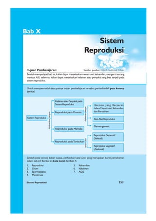 Sistem Reproduksi 159
1. Reproduksi 5. Kehamilan
2. Ovum 6. Kelahiran
3. Spermatozoa 7. AIDS
4. Menstruasi
Bab X
Tujuan Pembelajaran:
Setelah mempelajari bab ini, kalian dapat menjelaskan menstruasi, kehamilan, mengerti tentang
manfaat ASI, selain itu kalian dapat menjelaskan kelainan atau penyakit yang bisa terjadi pada
sistem reproduksi.
Untuk mempermudah tercapainya tujuan pembelajaran tersebut perhatikanlah peta konsep
berikut!
Setelah peta konsep kalian kuasai, perhatikan kata kunci yang merupakan kunci pemahaman
dalam bab ini! Berikut ini kata kunci dari bab X:
Sumber gambar: Oxford Ensiklopedi Pelajar
Sistem Reproduksi 159
Sistem
Reproduksi
Sistem Reproduksi
KelainanatauPenyakitpada
Sistem Reproduksi
Reproduksi pada Manusia
Reproduksi pada Mamalia
dipahamkandengan
Reproduksi pada Tumbuhan
Hormon yang Berperan
dalam Menstruasi, Kehamilan
dan Persalinan
Alat-Alat Reproduksi
Gametogenesis
Reproduksi Generatif
(Seksual)
Reproduksi Vegetatif
(Aseksual)
dijelaskandenganterdiridari
 