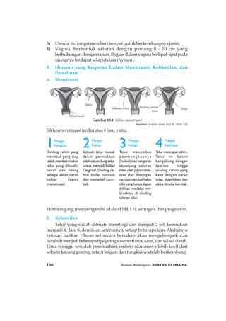 166 Panduan Pembelajaran BIOLOGI XI SMA/MA
Menstruasi
Telur
Saluran telur Dinding rahim
telur
Telur
1Minggu
Pertama
Dinding rahim yang
menebal yang siap
untukmemberimakan
telur yang dibuahi,
pecah dan hilang
sebagai aliran darah
keluar vagina
(menstruasi)
2Minggu
Kedua
Sebuah telur masak
dekat permukaan
salah satu indung telur
untuk menjadi folikel
De graaf. Dinding ra-
him mulai tumbuh
dan menebal kem-
bali.
3Minggu
Ketiga
Telur menembus
p e m b u n g k u s n y a
(folikel) dan bergerak
sepanjang saluran
telur oleh pijitan otot-
otot dan dorongan
rambut-rambut halus
cilia yang hanya dapat
dilihat melalui mi-
kroskop, di dinding
saluran telur.
4Minggu
Keempat
Telur mencapai rahim.
Telur ini belum
bergabung dengan
sperma hingga
dinding rahim yang
kaya dengan darah
tidak diperlukan dan
siklus dimulai kembali.
3) Uterus, berfungsi memberi tempat untuk berkembangnya janin.
4) Vagina, berbentuk saluran dengan panjang 8 - 10 cm yang
berhubungandenganrahim.Bagiandalamvaginaberlipat-lipatpada
ujungnya terdapat selaput dara (hymen).
3. Hormon yang Berperan Dalam Menstruasi, Kehamilan, dan
Persalinan
a. Menstruasi
Siklus menstruasi terdiri atas 4 fase, yaitu:
Hormon yang mempengaruhi adalah FSH, LH, estrogen, dan progestron.
b. Kehamilan
Telur yang sudah dibuahi membagi diri menjadi 2 sel, kemudian
menjadi 4, lalu 8, demikian seterusnya, setiap beberapa jam. Akibatnya
ratusan bahkan ribuan sel secara bertahap akan mengelompok dan
berubahmenjadibeberapatipejaringansepertiotot,saraf,dansel-seldarah.
Lima minggu sesudah pembuahan, embrio ukurannya lebih kecil dari
sebutir kacang goreng, tetapi lengan dan tungkainya telah berkembang.
Gambar 10.4 Siklus menstruasi
Sumber: Jendela Iptek Jilid 9, 2001 : 43
 