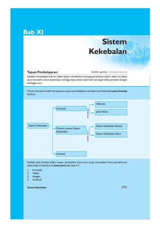 Sistem Kekebalan 173
1. Imunisasi
2. Vaksin
3. Antigen
4. Antibodi
Bab XI
Tujuan Pembelajaran:
Setelah mempelajari bab ini, kalian dapat menjelaskan tentang pertahanan tubuh, selain itu kalian
akan berusaha untuk senantiasa menjaga daya tahan tubuh dari serangan bibit penyakit dengan
berbagai cara.
Untuk mempermudah tercapainya tujuan pembelajaran tersebut perhatikanlah peta konsep
berikut!
Setelah peta konsep kalian kuasai, perhatikan kata kunci yang merupakan kunci pemahaman
dalam bab ini! Berikut ini kata kunci dari bab X1:
Sumber gambar : www.depreview.com
Sistem Kekebalan 173
Sistem
Kekebalan
Sistem Kekebalan
Imunisasi
Macam-macam Sistem
Kekebalan
Leukosit
Inflamasi
Jenis Vaksin
Sistem Kekebalan Buatan
Sistem Kekebalan Alami
teridiridarimencakup
 