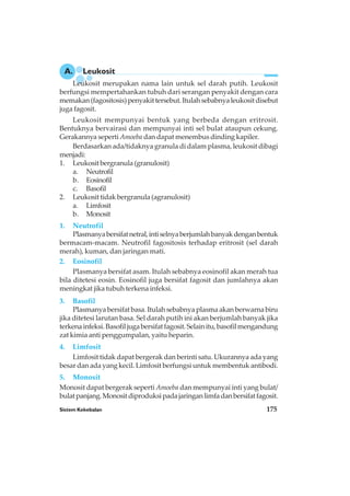 Sistem Kekebalan 175
Leukosit merupakan nama lain untuk sel darah putih. Leukosit
berfungsi mempertahankan tubuh dari serangan penyakit dengan cara
memakan(fagositosis)penyakittersebut.Itulahsebabnyaleukositdisebut
juga fagosit.
Leukosit mempunyai bentuk yang berbeda dengan eritrosit.
Bentuknya bervairasi dan mempunyai inti sel bulat ataupun cekung.
Gerakannya seperti Amoeba dan dapat menembus dinding kapiler.
Berdasarkan ada/tidaknya granula di dalam plasma, leukosit dibagi
menjadi:
1. Leukosit bergranula (granulosit)
a. Neutrofil
b. Eosinofil
c. Basofil
2. Leukosit tidak bergranula (agranulosit)
a. Limfosit
b. Monosit
1. Neutrofil
Plasmanyabersifatnetral,intiselnyaberjumlahbanyakdenganbentuk
bermacam-macam. Neutrofil fagositosis terhadap eritrosit (sel darah
merah), kuman, dan jaringan mati.
2. Eosinofil
Plasmanya bersifat asam. Itulah sebabnya eosinofil akan merah tua
bila ditetesi eosin. Eosinofil juga bersifat fagosit dan jumlahnya akan
meningkat jika tubuh terkena infeksi.
3. Basofil
Plasmanya bersifat basa. Itulah sebabnya plasma akan berwarna biru
jika ditetesi larutan basa. Sel darah putih ini akan berjumlah banyak jika
terkenainfeksi.Basofiljugabersifatfagosit.Selainitu,basofilmengandung
zat kimia anti penggumpalan, yaitu heparin.
4. Limfosit
Limfosit tidak dapat bergerak dan berinti satu. Ukurannya ada yang
besar dan ada yang kecil. Limfosit berfungsi untuk membentuk antibodi.
5. Monosit
Monosit dapat bergerak seperti Amoeba dan mempunyai inti yang bulat/
bulatpanjang.Monositdiproduksipadajaringanlimfadanbersifatfagosit.
A. Leukosit
 