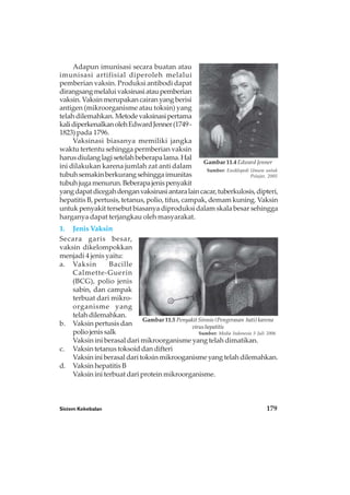 Sistem Kekebalan 179
Adapun imunisasi secara buatan atau
imunisasi artifisial diperoleh melalui
pemberian vaksin. Produksi antibodi dapat
dirangsangmelaluivaksinasiataupemberian
vaksin. Vaksin merupakan cairan yang berisi
antigen (mikroorganisme atau toksin) yang
telah dilemahkan. Metodevaksinasipertama
kalidiperkenalkanolehEdwardJenner(1749-
1823) pada 1796.
Vaksinasi biasanya memiliki jangka
waktu tertentu sehingga permberian vaksin
harusdiulanglagisetelahbeberapalama.Hal
ini dilakukan karena jumlah zat anti dalam
tubuhsemakinberkurangsehinggaimunitas
tubuhjugamenurun.Beberapajenispenyakit
yangdapatdicegahdenganvaksinasiantaralaincacar,tuberkulosis,dipteri,
hepatitis B, pertusis, tetanus, polio, tifus, campak, demam kuning. Vaksin
untuk penyakit tersebut biasanya diproduksi dalam skala besar sehingga
harganya dapat terjangkau oleh masyarakat.
1. Jenis Vaksin
Secara garis besar,
vaksin dikelompokkan
menjadi 4 jenis yaitu:
a. Vaksin Bacille
Calmette-Guerin
(BCG), polio jenis
sabin, dan campak
terbuat dari mikro-
organisme yang
telah dilemahkan.
b. Vaksin pertusis dan
poliojenissalk
Vaksin ini berasal dari mikroorganisme yang telah dimatikan.
c. Vaksin tetanus toksoid dan difteri
Vaksin ini berasal dari toksin mikrooganisme yang telah dilemahkan.
d. Vaksin hepatitis B
Vaksin ini terbuat dari protein mikroorganisme.
Gambar 11.4 Edward Jenner
Sumber: Ensiklopedi Umum untuk
Pelajar, 2005
Gambar 11.5 Penyakit Sirosis (Pengerasan hati) karena
virushepatitis
Sumber: Media Indonesia 5 Juli 2006
 