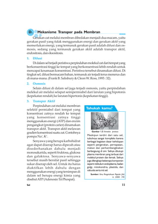 Sel 11
D. Mekanisme Transpor pada Membran
Gerakan zat melalui membran dibedakan menjadi dua macam, yaitu
gerakan pasif yang tidak menggunakan energi dan gerakan aktif yang
memerlukan energi, yang termasuk gerakan pasif adalah difusi dan os-
mosis, sedang yang termasuk gerakan aktif adalah transpor aktif,
endositosis,daneksositosis.
1. Difusi
Didalamselterjadiperistiwaperpindahanmolekulzatdaritempatyang
berkonsentrasi tinggi ke tempat yang berkonsentrasi lebih rendah untuk
mencapai kesamaan konsentrasi. Peristiwa tersebut dinamakan difusi. Di
tingkatsel,difusibermacambahan,termasukairterjaditerusmenerusdan
di mana-mana. (Frank B. Salisbury & Cleon W. Ross, 1995 : 32).
2. Osmosis
Selain difusi di dalam sel juga terjadi osmosis, yaitu perpindahan
melekul air melalui selaput semipermiabel dari larutan yang hipotonis
(kepekatan rendah) ke larutan hipertonis (kepekatan tinggi).
3. Transpor Aktif
Perpindahan zat melalui membran
selektif permiabel dari tempat yang
konsentrasi zatnya rendah ke tempat
yang konsentrasi zatnya tinggi
menggunakan energi (ATP) dan enzim
pengangkut (protein carier) dinamakan
transpor aktif. Transpor aktif melawan
gradienkonsentrasisuatuzat.Contohnya
pompa Na+
, K+
.
Senyawa yang berupa karbohidrat
agar dapat diserap harus dipecah atau
disederhanakan dahulu menjadi
monosakarida,sepertifruktosa,glukosa
dan galaktosa. Senyawa-senyawa
tersebut masih bersifat pasif sehingga
sukar diserap oleh sel. Untuk itu harus
diaktifkan lebih dahulu dengan
menggunakanenergiyangtersimpandi
dalam sel berupa energi kimia yang
disebutATP(AdenosinTriPhospat).
Gambar 1.5 Amoeba proteus
Meskipun terdiri dari satu sel,
tubuhnya sangat kompleks karena
berbagai kegiatan dasar kehidupan
seperti pergerakan, pernapasan,
makan dan perkembangbiakan
berlangsung di sini. Selnya ditutupi
plasma membran yang terbuat dari
molekul protein dan lemak. Selnya
jugadilengkapibeberapakomponen
sepertiretikulumendoplasma,badan
golgi, mitokondria, plastida, dan
vakuola serta inti sel.
Sumber: Ilmu Pengetahuan Populer Jilid
6, 2000: 190
Tahukah kamu?
 