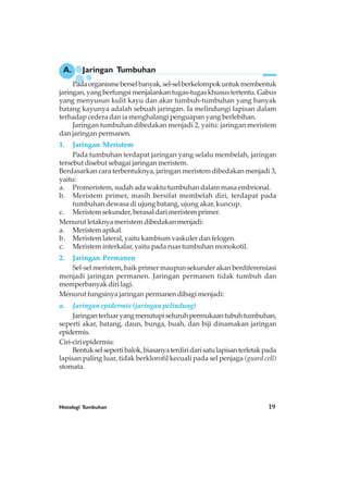 Histologi Tumbuhan 19
A. Jaringan Tumbuhan
Padaorganismeberselbanyak,sel-selberkelompokuntukmembentuk
jaringan,yangberfungsimenjalankantugas-tugaskhusustertentu.Gabus
yang menyusun kulit kayu dan akar tumbuh-tumbuhan yang banyak
batang kayunya adalah sebuah jaringan. Ia melindungi lapisan dalam
terhadap cedera dan ia menghalangi penguapan yang berlebihan.
Jaringan tumbuhan dibedakan menjadi 2, yaitu: jaringan meristem
dan jaringan permanen.
1. Jaringan Meristem
Pada tumbuhan terdapat jaringan yang selalu membelah, jaringan
tersebut disebut sebagai jaringan meristem.
Berdasarkan cara terbentuknya, jaringan meristem dibedakan menjadi 3,
yaitu:
a. Promeristem, sudah ada waktu tumbuhan dalam masa embrional.
b. Meristem primer, masih bersifat membelah diri, terdapat pada
tumbuhan dewasa di ujung batang, ujung akar, kuncup.
c. Meristem sekunder, berasal dari meristem primer.
Menurut letaknya meristem dibedakan menjadi:
a. Meristem apikal.
b. Meristem lateral, yaitu kambium vaskuler dan felogen.
c. Meristem interkalar, yaitu pada ruas tumbuhan monokotil.
2. Jaringan Permanen
Sel-sel meristem, baik primer maupun sekunder akan berdiferensiasi
menjadi jaringan permanen. Jaringan permanen tidak tumbuh dan
memperbanyak diri lagi.
Menurut fungsinya jaringan permanen dibagi menjadi:
a. Jaringan epidermis (jaringan pelindung)
Jaringanterluaryangmenutupiseluruhpermukaantubuhtumbuhan,
seperti akar, batang, daun, bunga, buah, dan biji dinamakan jaringan
epidermis.
Ciri-ciriepidermis:
Bentukselsepertibalok,biasanyaterdiridarisatulapisanterletakpada
lapisan paling luar, tidak berklorofil kecuali pada sel penjaga (guard cell)
stomata.
 