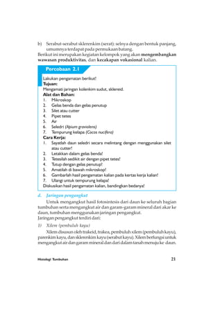 Histologi Tumbuhan 21
b) Serabut-serabut sklerenkim (serat): selnya dengan bentuk panjang,
umumnya terdapat pada permukaan batang.
Berikut ini merupakan kegiatan kelompok yang akan mengembangkan
wawasan produktivitas, dan kecakapan vokasional kalian.
Lakukan pengamatan berikut!
Tujuan:
Mengamati jaringan kolenkim sudut, sklereid.
Alat dan Bahan:
1. Mikroskop
2. Gelas benda dan gelas penutup
3. Silet atau cutter
4. Pipet tetes
5. Air
6. Seledri (Apium graviolens)
7. Tempurung kelapa (Cocos nucifera)
Cara Kerja:
1. Sayatlah daun seledri secara melintang dengan menggunakan silet
atau cutter!
2. Letakkan dalam gelas benda!
3. Tetesilah sedikit air dengan pipet tetes!
4. Tutup dengan gelas penutup!
5. Amatilah di bawah mikroskop!
6. Gambarlah hasil pengamatan kalian pada kertas kerja kalian!
7. Ulangi untuk tempurung kelapa!
Diskusikan hasil pengamatan kalian, bandingkan bedanya!
d. Jaringan pengangkut
Untuk mengangkut hasil fotosintesis dari daun ke seluruh bagian
tumbuhan serta mengangkut air dan garam-garam mineral dari akar ke
daun, tumbuhan menggunakan jaringan pengangkut.
Jaringan pengangkut terdiri dari:
1) Xilem (pembuluh kayu)
Xilemdisusunolehtrakeid,trakea,pembuluhxilem(pembuluhkayu),
parenkimkayu,dansklerenkimkayu(serabutkayu).Xilemberfungsiuntuk
mengangkutairdangarammineraldandaridalamtanahmenujuke daun.
Percobaan 2.1
 