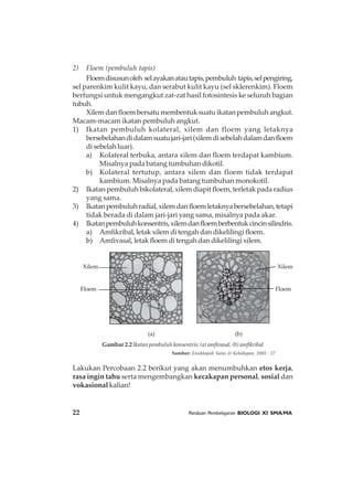 22 Panduan Pembelajaran BIOLOGI XI SMA/MA
2) Floem (pembuluh tapis)
Floemdisusunoleh selayakanatautapis,pembuluh tapis,selpengiring,
sel parenkim kulit kayu, dan serabut kulit kayu (sel sklerenkim). Floem
berfungsi untuk mengangkut zat-zat hasil fotosintesis ke seluruh bagian
tubuh.
Xilem dan floem bersatu membentuk suatu ikatan pembuluh angkut.
Macam-macam ikatan pembuluh angkut.
1) Ikatan pembuluh kolateral, xilem dan floem yang letaknya
bersebelahandidalamsuatujari-jari(xilemdisebelahdalamdanfloem
di sebelah luar).
a) Kolateral terbuka, antara xilem dan floem terdapat kambium.
Misalnya pada batang tumbuhan dikotil.
b) Kolateral tertutup, antara xilem dan floem tidak terdapat
kambium. Misalnya pada batang tumbuhan monokotil.
2) Ikatan pembuluh bikolateral, xilem diapit floem, terletak pada radius
yang sama.
3) Ikatanpembuluhradial,xilemdanfloemletaknyabersebelahan,tetapi
tidak berada di dalam jari-jari yang sama, misalnya pada akar.
4) Ikatanpembuluhkonsentris,xilemdanfloemberbentukcincinsilindris.
a) Amfikribal, letak xilem di tengah dan dikelilingi floem.
b) Amfivasal, letak floem di tengah dan dikelilingi xilem.
Lakukan Percobaan 2.2 berikut yang akan menumbuhkan etos kerja,
rasa ingin tahu serta mengembangkan kecakapan personal, sosial dan
vokasional kalian!
Xilem
(a) (b)
Floem
Gambar 2.2 Ikatan pembuluh konsentris: (a) amfivasal, (b) amfikribal
Sumber: Ensiklopedi Sains & Kehidupan, 2003 : 27
Xilem
Floem
 