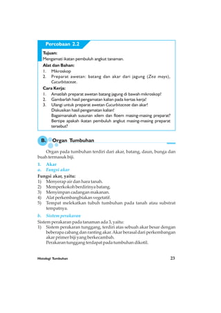Histologi Tumbuhan 23
Tujuan:
Mengamati ikatan pembuluh angkut tanaman.
Alat dan Bahan:
1. Mikroskop
2. Preparat awetan: batang dan akar dari jagung (Zea mays),
Cucurbitaceae.
Cara Kerja:
1. Amatilah preparat awetan batang jagung di bawah mikroskop!
2. Gambarlah hasil pengamatan kalian pada kertas kerja!
3. Ulangi untuk preparat awetan Cucurbitaceae dan akar!
Diskusikan hasil pengamatan kalian!
Bagaimanakah susunan xilem dan floem masing-masing preparat?
Bertipe apakah ikatan pembuluh angkut masing-masing preparat
tersebut?
B. Organ Tumbuhan
Organ pada tumbuhan terdiri dari akar, batang, daun, bunga dan
buah termasuk biji.
1. Akar
a. Fungsi akar
Fungsi akar, yaitu:
1) Menyerap air dan hara tanah.
2) Memperkokoh berdirinya batang.
3) Menyimpan cadangan makanan.
4) Alat perkembangbiakan vegetatif.
5) Tempat melekatkan tubuh tumbuhan pada tanah atau substrat
tempatnya.
b. Sistem perakaran
Sistem perakaran pada tanaman ada 3, yaitu:
1) Sistem perakaran tunggang, terdiri atas sebuah akar besar dengan
beberapa cabang dan ranting akar.Akar berasal dari perkembangan
akar primer biji yang berkecambah.
Perakaran tunggang terdapat pada tumbuhan dikotil.
Percobaan 2.2
 