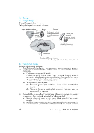 28 Panduan Pembelajaran BIOLOGI XI SMA/MA
4. Bunga
a. Fungsi bunga
Fungsi bunga, yaitu:
Sebagai alat pembentuk sel kelamin.
b. Pembagian bunga
Bunga dapat dibagi menjadi:
1) Bunga lengkap adalah bunga yang memiliki perhiasan bunga dan alat
pembiak.
a) Perhiasan bunga, terdiri dari :
Periantum yang terdiri dari: calyx (kelopak bunga), corolla
(mahkota bunga). Perigonium yaitu bunga yang memiliki calyx
dan corolla dengan warna yang sama.
b) Alat pembiak, terdiri dari:
(1) Pistilum (putik) alat pembiak betina, karena membentuk
ovum.
(2) Stamen (benang sari) alat pembiak jantan, karena
menghasilkan sperma.
2) Bunga tidak lengkap adalah bunga yang tidak mempunyai perhiasan
bunga atau alat pembiak, dapat dibedakan menjadi:
a) Bunga telanjang yaitu bunga yang tidak memiliki perhiasan
bunga.
b) Bungamandulyaitubungayangtidakmempunyaialatpembiak.
Petal (mahkota bunga) Karpel Stamen
Kantong sari terbuka
pada sepanjang garis
ini untuk melepaskan
polen
Stigma
Stilus
Ovarium(bakal
buah) Ovula
(bakal biji)
Kantong sari
(anthera)
Benang sari (polen)
di dalam kantong sari
Kantong sari
(dipotong melintang)
sepal tangkaibunga
Gambar 2.3 Bunga lengkap
Sumber: Oxford Ensiklopedi Pelajar Jilid 2, 2005 : 89
 