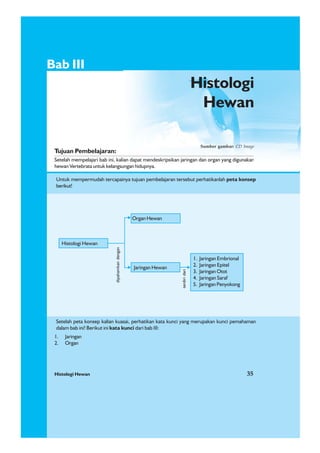 Histologi Hewan 35
Histology Hewan
1. Jaringan
2. Organ
Bab III
Histologi
Hewan
Tujuan Pembelajaran:
Setelah mempelajari bab ini, kalian dapat mendeskripsikan jaringan dan organ yang digunakan
hewan Vertebrata untuk kelangsungan hidupnya.
Untuk mempermudah tercapainya tujuan pembelajaran tersebut perhatikanlah peta konsep
berikut!
Setelah peta konsep kalian kuasai, perhatikan kata kunci yang merupakan kunci pemahaman
dalam bab ini! Berikut ini kata kunci dari bab III:
Histologi Hewan 35
Sumber gambar: CD Image
Histologi Hewan
Jaringan Hewan
Organ Hewan
1. Jaringan Embrional
2. Jaringan Epitel
3. Jaringan Otot
4. Jaringan Saraf
5. Jaringan Penyokong
terdiridari
dipahamkandengan
 