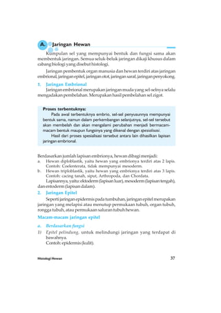 Histologi Hewan 37
A. Jaringan Hewan
Kumpulan sel yang mempunyai bentuk dan fungsi sama akan
membentuk jaringan. Semua seluk-beluk jaringan dikaji khusus dalam
cabang biologi yang disebut histologi.
Jaringan pembentuk organ manusia dan hewan terdiri atas jaringan
embrional,jaringanepitel,jaringanotot,jaringansaraf,jaringanpenyokong.
1. Jaringan Embrional
Jaringan embrional merupakan jaringan muda yang sel-selnya selalu
mengadakan pembelahan. Merupakan hasil pembelahan sel zigot.
Proses terbentuknya:
Pada awal terbentuknya embrio, sel-sel penyusunnya mempunyai
bentuk sama, namun dalam perkembangan selanjutnya, sel-sel tersebut
akan membelah dan akan mengalami perubahan menjadi bermacam-
macam bentuk maupun fungsinya yang dikenal dengan spesialisasi.
Hasil dari proses spesialisasi tersebut antara lain dihasilkan lapisan
jaringan embrional.
Berdasarkan jumlah lapisan embrionya, hewan dibagi menjadi:
a. Hewan diploblastik, yaitu hewan yang embrionya terdiri atas 2 lapis.
Contoh: Coelenterata, tidak mempunyai mesoderm.
b. Hewan triploblastik, yaitu hewan yang embrionya terdiri atas 3 lapis.
Contoh: cacing tanah, siput, Arthropoda, dan Chordata.
Lapisannya,yaitu:ektoderm(lapisanluar),mesoderm(lapisantengah),
dan entoderm (lapisan dalam).
2. Jaringan Epitel
Sepertijaringanepidermispadatumbuhan,jaringanepitelmerupakan
jaringan yang melapisi atau menutup permukaan tubuh, organ tubuh,
rongga tubuh, atau permukaan saluran tubuh hewan.
Macam-macam jaringan epitel
a. Berdasarkan fungsi
1) Epitel pelindung, untuk melindungi jaringan yang terdapat di
bawahnya.
Contoh:epidermis(kulit).
 