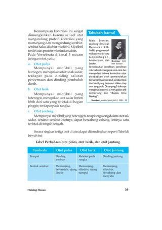 Histologi Hewan 39
Kemampuan kontraksi ini sangat
dimungkinkan karena sel-sel otot
mengandung protein kontraksi yang
memanjang dan mengandung serabut-
serabuthalusdisebutmiofibril.Miofibril
terdiriatasproteinmiosindanaktin.
Pada Vertebrata dikenal 3 macam
jaringan otot, yaitu:
a. Otot polos
Mempunyai miofibril yang
homogen, merupakan otot tidak sadar,
terdapat pada dinding saluran
pencernaan dan dinding pembuluh
darah.
b. Otot lurik
Mempunyai miofibril yang
heterogen,merupakanototsadarberinti
lebih dari satu yang terletak di bagian
pinggir, terdapat pada rangka.
c. Otot jantung
Mempunyaimiofibrilyangheterogen,tetapitergolongdalamotottak
sadar, serabut-serabut ototnya dapat bercabang-cabang, intinya satu
terletak di tengah-tengah.
Secara ringkas ketiga otot di atas dapat dibandingkan seperti Tabel di
bawah ini:
Niels Stensen,
seorang ilmuwan
Denmark (1638-
1686) yangmenjadi
mahasiswa di kota
C o p e n h a g e n ,
Amsterdam, dan
Leiden.
Ia melakukan penelitian- penelitian
mikroskopikmengenaiotot-ototdan
menyadari bahwa kontraksi otot
disebabkan oleh pemendekan
bersamaribuanserabut-serabuttipis
dan kecil yang tersusun dalam tiap
ototyangutuh.Disamping5bukunya
mengenaianatomi,iamerupakanahli
cemerlang dan “Bapak Ilmu
Geologi”.
Sumber: Jendela Iptek jilid 9, 2001: 20
Gambar 3.3
Niel Stensen
Tahukah kamu?
Pembeda Otot polos Otot lurik Otot jantung
Tempat
Bentuk serabut
Dinding
jerohan
Memanjang,
berbentuk, ujung
lancip
Melekat pada
rangka
Memanjang,
silindris, ujung
tumpul
Dinding jantung
Memanjang,
silindris,
bercabang dan
menyatu
Tabel Perbedaan otot polos, otot lurik, dan otot jantung
 