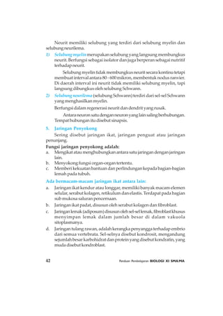 42 Panduan Pembelajaran BIOLOGI XI SMA/MA
Neurit memiliki selubung yang terdiri dari selubung myelin dan
selubungneurilema.
1) Selubung myelinmerupakan selubung yang langsung membungkus
neurit. Berfungsi sebagai isolator dan juga berperan sebagai nutritif
terhadapneurit.
Selubungmyelintidakmembungkusneuritsecarakontinutetapi
membuat interval antara 80 - 600 mikron, membentuk nodus ranvier.
Di daerah interval ini neurit tidak memiliki selubung myelin, tapi
langsung dibungkus oleh selubung Schwann.
2) Selubung neurilema (selubung Schwann) terdiri dari sel-sel Schwann
yang menghasilkan myelin.
Berfungsi dalam regenerasi neurit dan dendrit yang rusak.
Antaraneuronsatudenganneuronyanglainsalingberhubungan.
Tempat hubungan itu disebut sinapsis.
5. Jaringan Penyokong
Sering disebut jaringan ikat, jaringan penguat atau jaringan
penunjang.
Fungsi jaringan penyokong adalah:
a. Mengikatataumenghubungkanantarasatujaringandenganjaringan
lain.
b. Menyokong fungsi organ-organ tertentu.
c. Memberikekuatanbantuandanperlindungankepadabagian-bagian
lemah pada tubuh.
Ada bermacam-macam jaringan ikat antara lain:
a. Jaringan ikat kendur atau longgar, memiliki banyak macam elemen
selular, serabut kolagen, retikulum dan elastis. Terdapat pada bagian
sub mukosa saluran pencernaan.
b. Jaringan ikat padat, disusun oleh serabut kolagen dan fibroblast.
c. Jaringanlemak(adiposum)disusunolehsel-sellemak,fibroblastkhusus
menyimpan lemak dalam jumlah besar di dalam vakuola
sitoplasmanya.
d. Jaringan tulang rawan, adalah kerangka penyangga terhadap embrio
dari semua vertebrata. Sel-selnya disebut kondrosit, mengandung
sejumlahbesarkarbohidratdanproteinyangdisebutkondratin,yang
mudadisebutkondroblast.
 