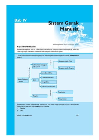 Sistem Gerak Manusia 49
1. Rangka
2. Otot
Bab IV
Sistem Gerak
Manusia
Tujuan Pembelajaran:
Setelah mempelajari bab ini, kalian dapat menjelaskan mengapa kalian bisa bergerak, selain itu
kalian juga dapat menjelaskan kelainan atau penyakit pada sistem gerak.
Untuk mempermudah tercapainya tujuan pembelajaran tersebut perhatikanlah peta konsep
berikut!
Setelah peta konsep kalian kuasai, perhatikan kata kunci yang merupakan kunci pemahaman
dalam bab ini! Berikut ini kata kunci dari bab 1V:
Sistem Gerak Manusia 49
Sumber gambar: Oxford Ensiklopedi Pelajar
Sistem Skeleton
Manusia
Rangka
Otot
Kelainan dan Gangguan
pada Gerak
Gangguan pada Otot
dipahamkandengan
meliputi
Gangguan pada Rangka
Jenis Gerak Otot
Karakteristik Otot
Fungsi Otot
Macam-Macam Otot
Tengkorak
terdiridari
Tulang Badan
 