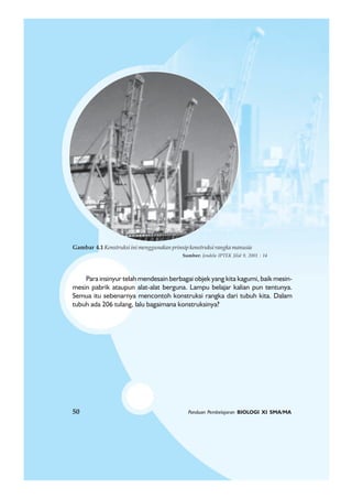 50 Panduan Pembelajaran BIOLOGI XI SMA/MA
Para insinyur telah mendesain berbagai objek yang kita kagumi, baik mesin-
mesin pabrik ataupun alat-alat berguna. Lampu belajar kalian pun tentunya.
Semua itu sebenarnya mencontoh konstruksi rangka dari tubuh kita. Dalam
tubuh ada 206 tulang, lalu bagaimana konstruksinya?
Gambar 4.1 Konstruksi ini menggunakan prinsip konstruksi rangka manusia
Sumber: Jendela IPTEK Jilid 9, 2001 : 14
50 Panduan Pembelajaran BIOLOGI XI SMA/MA
 