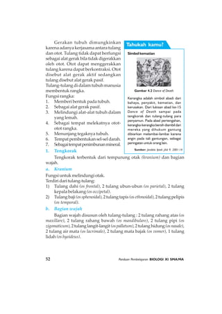 52 Panduan Pembelajaran BIOLOGI XI SMA/MA
Gerakan tubuh dimungkinkan
karena adanya kerjasama antara tulang
dan otot. Tulang tidak dapat berfungsi
sebagai alat gerak bila tidak digerakkan
oleh otot. Otot dapat menggerakkan
tulang karena dapat berkontraksi. Otot
disebut alat gerak aktif sedangkan
tulang disebut alat gerak pasif.
Tulang-tulang di dalam tubuh manusia
membentuk rangka.
Fungsi rangka:
1. Memberi bentuk pada tubuh.
2. Sebagai alat gerak pasif.
3. Melindungi alat-alat tubuh dalam
yang lemah.
4. Sebagai tempat melekatnya otot-
otot rangka.
5. Menunjang tegaknya tubuh.
6. Tempatpembentukansel-seldarah.
7. Sebagaitempatpenimbunanmineral.
1. Tengkorak
Tengkorak terbentuk dari tempurung otak (kranium) dan bagian
wajah.
a. Kranium
Fungsi untuk melindungi otak.
Terdiri dari tulang-tulang:
1) Tulang dahi (os frontal), 2 tulang ubun-ubun (os parietal), 2 tulang
kepala belakang (os occipetal).
2) Tulang baji(os sphenoidal), 2 tulang tapis (os ethmoidal), 2 tulang pelipis
(os temporal).
b. Bagian wajah
Bagian wajah disusun oleh tulang-tulang : 2 tulang rahang atas (os
maxillare), 2 tulang rahang bawah (os mandibulare), 2 tulang pipi (os
zigomaticum),2tulanglangit-langit(ospallatum),2tulanghidung(osnasale),
2 tulang air mata (os lacrimale), 2 tulang mata bajak (os vomer), 1 tulang
lidah (os hyoideus).
Simbol kematian
Kerangka adalah simbol abadi dari
bahaya, penyakit, kematian, dan
kerusakan. Dari lukisan abad ke-15
Dance of Death sampai pada
tengkorak dan tulang-tulang para
penyamun. Pada abad pertengahan,
kerangka-kerangkabersihdiambildari
mereka yang dihukum gantung
dibiarkan melambai-lambai karena
angin pada tali gantungan, sebagai
peringatan untuk orang lain.
Sumber: Jendela Iptek jilid 9, 2001:14
Tahukah kamu?
Gambar 4.2 Dance of Death
 