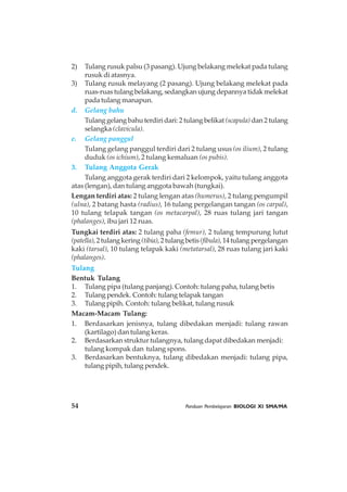54 Panduan Pembelajaran BIOLOGI XI SMA/MA
2) Tulang rusuk palsu (3 pasang). Ujung belakang melekat pada tulang
rusuk di atasnya.
3) Tulang rusuk melayang (2 pasang). Ujung belakang melekat pada
ruas-ruas tulang belakang, sedangkan ujung depannya tidak melekat
pada tulang manapun.
d. Gelang bahu
Tulang gelang bahu terdiri dari: 2 tulang belikat (scapula) dan 2 tulang
selangka (clavicula).
e. Gelang panggul
Tulang gelang panggul terdiri dari 2 tulang usus (os ilium), 2 tulang
duduk (os ichium), 2 tulang kemaluan (os pubis).
3. Tulang Anggota Gerak
Tulang anggota gerak terdiri dari 2 kelompok, yaitu tulang anggota
atas (lengan), dan tulang anggota bawah (tungkai).
Lengan terdiri atas: 2 tulang lengan atas (humerus), 2 tulang pengumpil
(ulna), 2 batang hasta (radius), 16 tulang pergelangan tangan (os carpal),
10 tulang telapak tangan (os metacarpal), 28 ruas tulang jari tangan
(phalanges), ibu jari 12 ruas.
Tungkai terdiri atas: 2 tulang paha (femur), 2 tulang tempurung lutut
(patella),2tulangkering(tibia),2tulangbetis(fibula),14tulangpergelangan
kaki (tarsal), 10 tulang telapak kaki (metatarsal), 28 ruas tulang jari kaki
(phalanges).
Tulang
Bentuk Tulang
1. Tulang pipa (tulang panjang). Contoh: tulang paha, tulang betis
2. Tulang pendek. Contoh: tulang telapak tangan
3. Tulangpipih. Contoh: tulang belikat, tulang rusuk
Macam-Macam Tulang:
1. Berdasarkan jenisnya, tulang dibedakan menjadi: tulang rawan
(kartilago) dan tulang keras.
2. Berdasarkan struktur tulangnya, tulang dapat dibedakan menjadi:
tulang kompak dan tulang spons.
3. Berdasarkan bentuknya, tulang dibedakan menjadi: tulang pipa,
tulang pipih, tulang pendek.
 