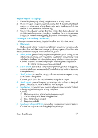Sistem Gerak Manusia 57
Bagian-Bagian Tulang Pipa
1. Epifise: bagian ujung tulang yang terdiri atas tulang rawan.
2. Diafise: bagian tengah yang memanjang dan di pusatnya terdapat
rongga berisi sumsum tulang. Rongga ini terbentuk karena aktivitas
osteoblas atau perombak sel-sel tulang.
3. Cakraepifise: bagian sempit di antara epifise dan diafise. Bagian ini
terdiri atas tulang rawan yang kaya osteoblas. Pada orang dewasa
yangtidak tumbuhmeninggilagi,bagianinisudahmenulangsemua.
Hubungan Antartulang (Artikulasi)
Hubungan antara dua tulang dapat dibedakan atas 3 bentuk, yaitu:
1. Diartrosis
Hubungan 2 tulang yang memungkinkan terjadinya banyak gerak,
dinamakandiartrosis.Berdasarkantipegerakannya,persendiandiartrosis
dapat dibedakan menjadi beberapa macam, yaitu:
a. Sendi peluru, persendian yang memungkinkan gerak paling bebas
dibandingsendiyanglain,bergerakkesegalaarah,ujungtulangyang
satu berbentuk bongkol, ujung tulang yang lain berbentuk cekungan.
Contoh: 1) Sendi antara tulang lengan atas dengan tulang belikat.
2) Tulang paha dengan tulang pinggul.
b. Sendi luncur, persendian yang memungkinkan gerakan menggeliat,
membungkuk,danmenengadah.Contoh:hubunganantararuas-ruas
tulang belakang.
c. Sendi pelana, persendian yang gerakannya dua arah seperti orang
naik kuda di atas pelana.
Contoh: gerak pada ibu jari, antara metacarpal dan carpal.
d. Sendi engsel, persendian yang gerakannya satu arah seperti engsel
pintu. Contoh: siku, lutut, mata kaki, ruas-ruas jari.
e. Sendiputar,persendianyangmenimbulkangerakanmemutar(rotasi)
tulang yang satu mengitari tulang yang lain.
Contoh:
1) Hubungan antara tulang hasta dan pengumpil.
2) Antara tulang atlas dan tulang pemutar.
3) Pada pergelangan tangan.
4) Pergelangan kaki.
f. Sendigeseratausendikejut, persendianyanggerakannyamenggeser.
Contoh: hubungan antartulang pergelangan tangan.
 