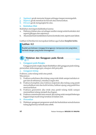 60 Panduan Pembelajaran BIOLOGI XI SMA/MA
Latihan 4.2
f. Supinasi: gerak memutar lengan sehingga tangan menengadah.
g. Depresi: gerak menekan ke bawah atau menurunkan.
h. Elevasi: gerak mengangkat ke atas.
6. Kelelahan Otot
Kelelahan otot dapat diakibatkan karena:
a. Habisnya bahan atau zat sebagai sumber energi untuk kontraksi otot
seperti glikogen dan sejenisnya.
b. Akumulasihasilmetabolismekarenakontraksiotot,sepertiasamlaktat.
Buatlah pembahasan mengapa binaragawan mempunyai otot yang kekar,
berbeda dengan yang bukan binaragawan!
C. Kelainan dan Gangguan pada Gerak
1. Gangguan pada Rangka
Gangguanpadarangkadapatdisebabkanolehgangguanpadatulang,
persendian, kekurangan gizi, ataupun oleh penyakit.
a. Gangguan tulang
Fraktura, yaitu tulang retak atau patah.
Macamnya:
1) Fraktura sederhana: jika tulang yang retak tidak sampai melukai or-
gan lain di sekitarnya, misalnya organ otot.
2) Fraktura kompleks atau fraktura majemuk: jika tulang yang patah
menyebabkan otot dan kulit terluka, bahkan ujung yang patah bisa
mencuat keluar.
3) Fraktura greenstick: jika retak atau patah tulang tidak sampai
memisahkan tulang menjadi dua bagian.
4) Frakturacomminutedatauremuk:jikatulangretakmenjadibeberapa
bagian tetapi masih tetap tertahan di dalam otot.
b. Persendian
1) Dislokasi:gangguanpergeseransendidarikedudukansemulakarena
tulangligamennyatertarikatausobek.
Latihan 4.2 berikut ini merupakan latihan agar kalian berpikir kritis.
 