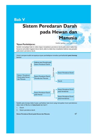 Sistem Peredaran Darah pada Hewan dan Manusia 67
1. Darah
2. Sistem peredaran darah
Bab V
dipahamkandengan
Sistem Peredaran Darah
pada Hewan dan
Manusia
Tujuan Pembelajaran:
Setelah mempelajari bab ini, kalian dapat menjelaskan peredaran darah pada tubuh, kalian bisa
berperansertadalamkegiatandonordarah,selainitukalianbisamenjelaskankelainanataupenyakit
pada sistem peredaran darah.
Untuk mempermudah tercapainya tujuan pembelajaran tersebut perhatikanlah peta konsep
berikut!
Setelah peta konsep kalian kuasai, perhatikan kata kunci yang merupakan kunci pemahaman
dalam bab ini! Berikut ini kata kunci dari bab V:
Sistem Peredaran Darah pada Hewan dan Manusia 67
Sumber gambar: www.depreview.com
Sistem Peredaran
Darah pada Hewan
dan Manusia
KelainanatauPenyakitpada
Sistem Peredaran Darah
meliputi
Sistem Peredaran Darah
Mamalia dan Manusia
Sistem Peredaran Darah
pada Hewan
Sistem Peredaran Darah
pada Vertebrata
Sistem Peredaran Darah
pada Avertebrata
dijelaskandengan
Sistem Peredaran Darah
Darah
 